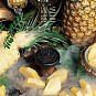 Табак Element Pineapple (Ананас) 40г Вода