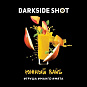 Darkside SHOT 30гр Южный вайб