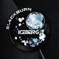 (МТ) BlackBurn 100гр Iceberg - Холодок
