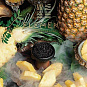 Табак Element Pineapple (Ананас) 40г Земля 